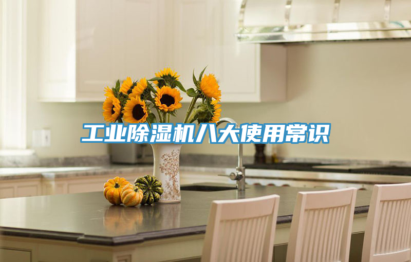 工業草莓视频污污污污八大使用常識