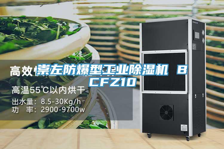 崇左防爆型工業草莓视频污污污污 BCFZ10