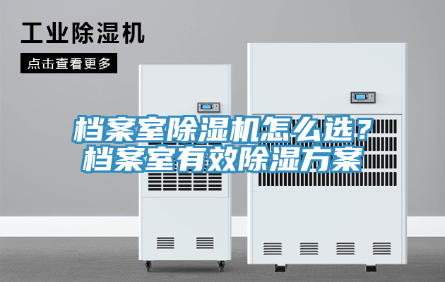 檔案室草莓视频污污污污怎麽選？檔案室有效除濕方案