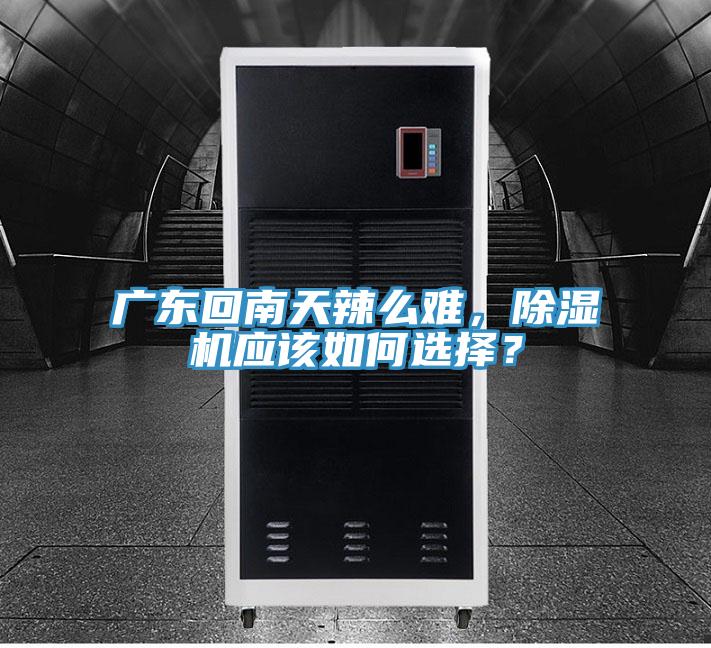 廣東回南天辣麽難，草莓视频污污污污應該如何選擇？