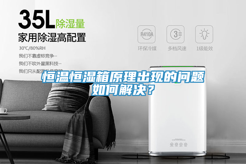 恒溫恒濕箱原理出現的問題如何解決？
