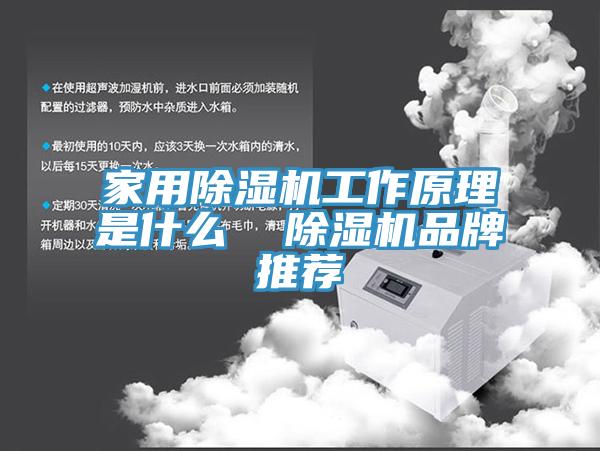 家用草莓视频污污污污工作原理是什麽  草莓视频污污污污品牌推薦