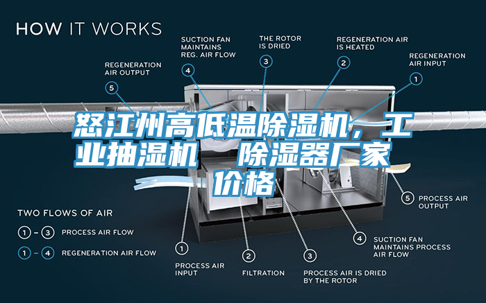 怒江州高低溫草莓视频污污污污，工業抽濕機  除濕器廠家 價格