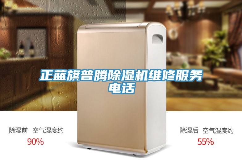 正藍旗普騰草莓视频污污污污維修服務電話
