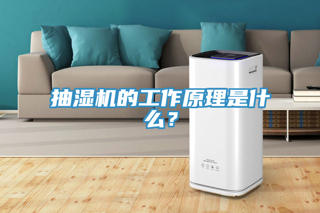 抽濕機的工作原理是什麽？
