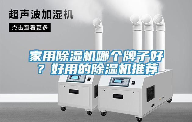 家用草莓视频污污污污哪個牌子好？好用的草莓视频污污污污推薦