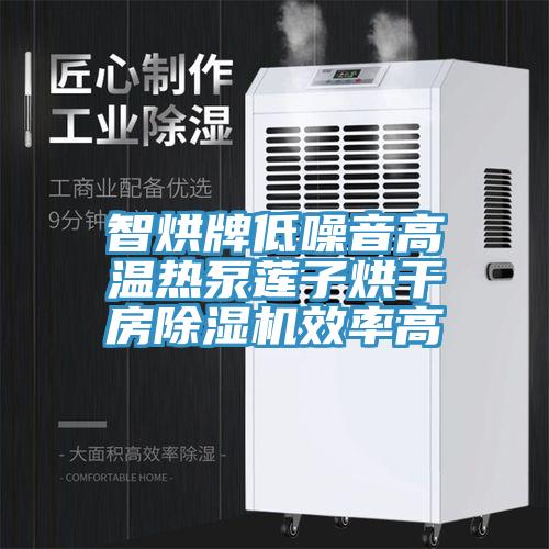 智烘牌低噪音高溫熱泵蓮子烘幹房草莓视频污污污污效率高