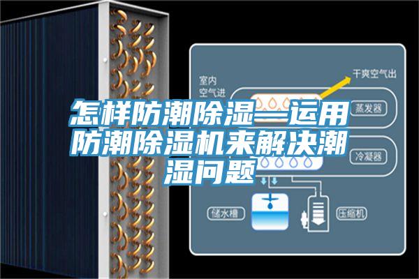 怎樣防潮除濕—運用防潮草莓视频污污污污來解決潮濕問題