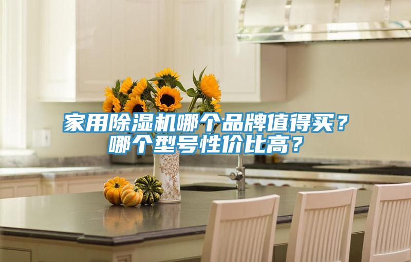 家用草莓视频污污污污哪個品牌值得買？哪個型號性價比高？