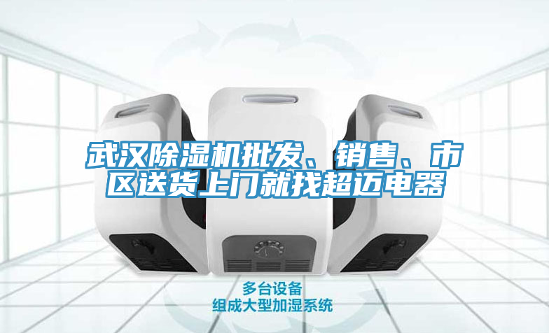 武漢草莓视频污污污污批發、銷售、市區送貨上門就找超邁電器