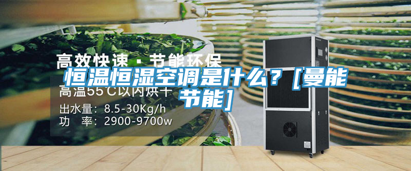 恒溫恒濕空調是什麽？[曼能節能]