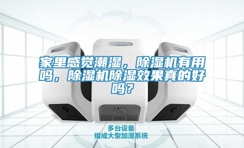 家裏感覺潮濕，草莓视频污污污污有用嗎，草莓视频污污污污除濕效果真的好嗎？