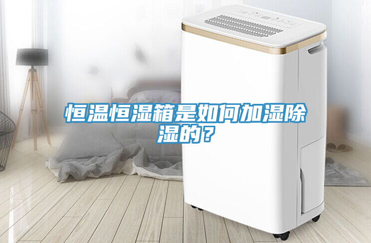 恒溫恒濕箱是如何加濕除濕的？