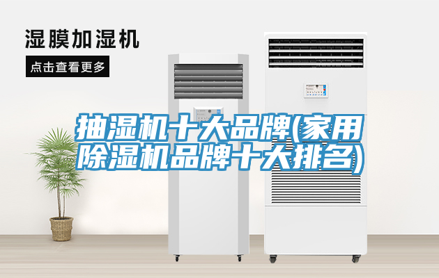 抽濕機十大品牌(家用草莓视频污污污污品牌十大排名)