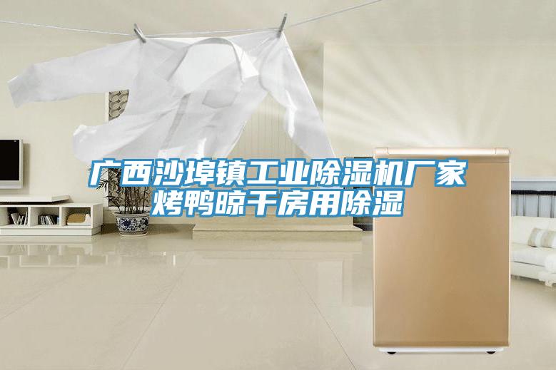 廣西沙埠鎮工業草莓视频污污污污廠家烤鴨晾幹房用除濕