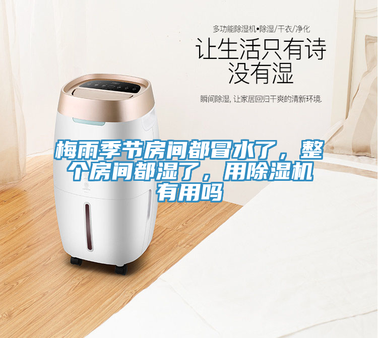 梅雨季節房間都冒水了，整個房間都濕了，用草莓视频污污污污有用嗎