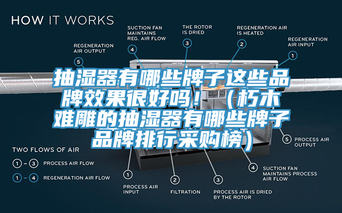 抽濕器有哪些牌子這些品牌效果很好嗎！（朽木難雕的抽濕器有哪些牌子品牌排行采購榜）