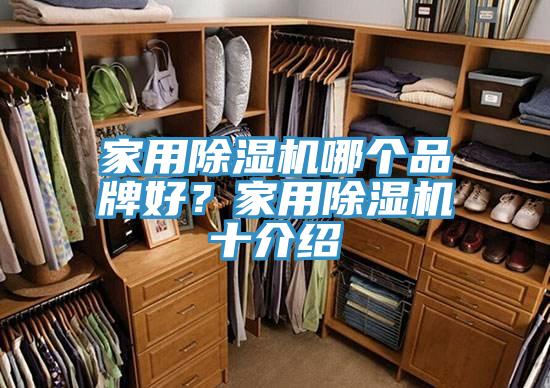 家用草莓视频污污污污哪個品牌好？家用草莓视频污污污污十介紹
