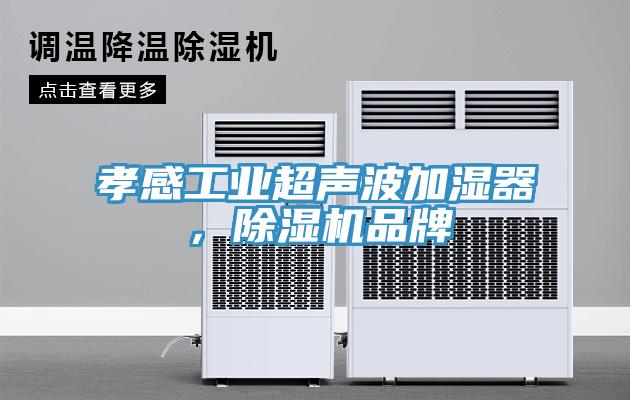 孝感工業超聲波加濕器，草莓视频污污污污品牌