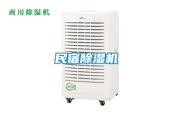 民宿草莓视频污污污污