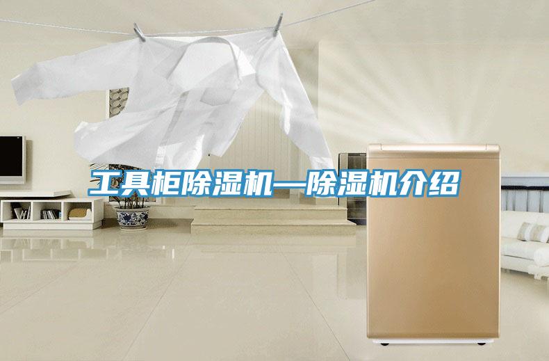 工具櫃草莓视频污污污污—草莓视频污污污污介紹