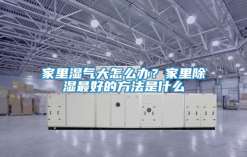家裏濕氣大怎麽辦？家裏除濕最好的方法是什麽