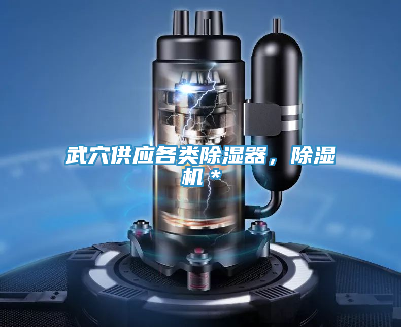 武穴供應各類除濕器，草莓视频污污污污＊