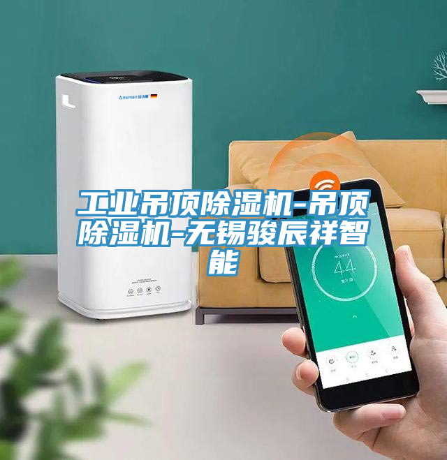 工業吊頂草莓视频污污污污-吊頂草莓视频污污污污-無錫駿辰祥智能