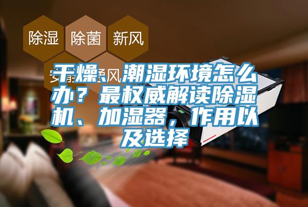 幹燥、潮濕環境怎麽辦？最權威解讀草莓视频污污污污、加濕器，作用以及選擇