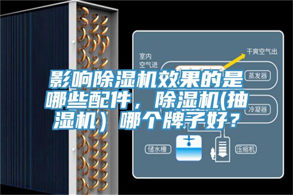 影響草莓视频污污污污效果的是哪些配件，草莓视频污污污污(抽濕機）哪個牌子好？