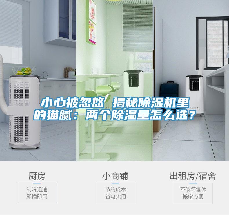 小心被忽悠 揭秘草莓视频污污污污裏的貓膩：兩個除濕量怎麽選？