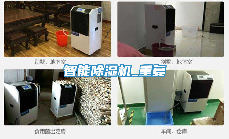 智能草莓视频污污污污_重複