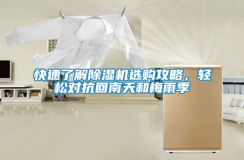 快速了解草莓视频污污污污選購攻略，輕鬆對抗回南天和梅雨季