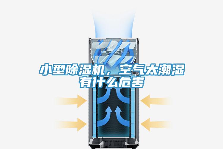 小型草莓视频污污污污，空氣太潮濕有什麽危害