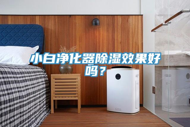 小白淨化器除濕效果好嗎？