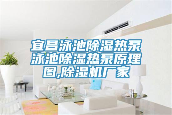 宜昌泳池除濕熱泵泳池除濕熱泵原理圖,草莓视频污污污污廠家