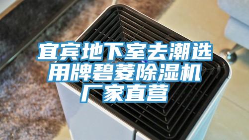宜賓地下室去潮選用牌碧菱草莓视频污污污污廠家直營