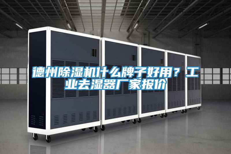 德州草莓视频污污污污什麽牌子好用？工業去濕器廠家報價