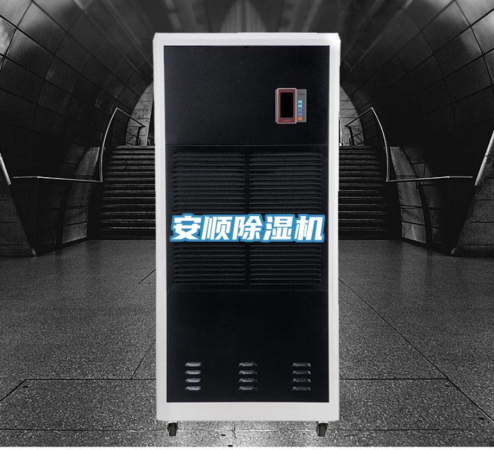 安順草莓视频污污污污