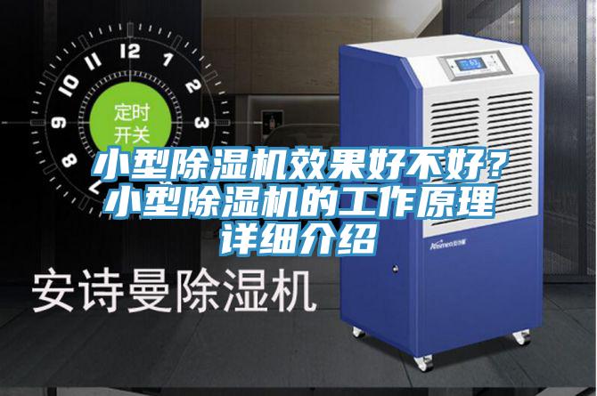 小型草莓视频污污污污效果好不好？小型草莓视频污污污污的工作原理詳細介紹