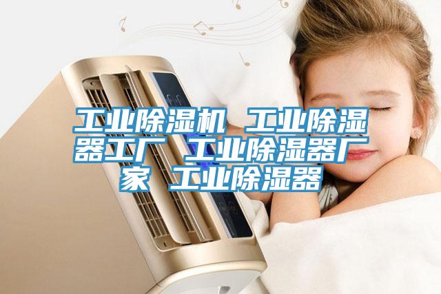 工業草莓视频污污污污 工業除濕器工廠 工業除濕器廠家 工業除濕器