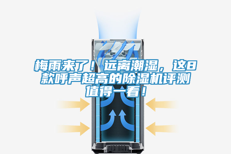 梅雨來了！遠離潮濕，這8款呼聲超高的草莓视频污污污污評測值得一看！
