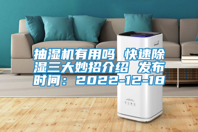 抽濕機有用嗎 快速除濕三大妙招介紹 發布時間：2022-12-18
