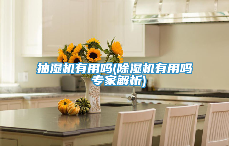 抽濕機有用嗎(草莓视频污污污污有用嗎 專家解析)