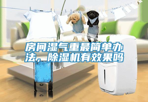 房間濕氣重最簡單辦法，草莓视频污污污污有效果嗎