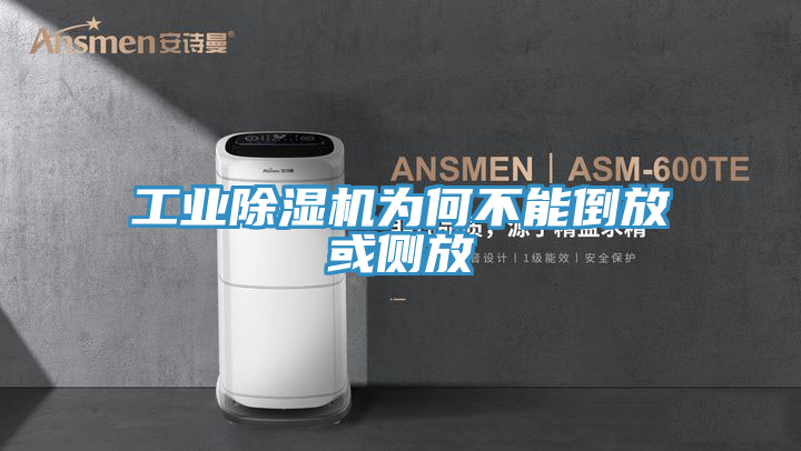 工業草莓视频污污污污為何不能倒放或側放