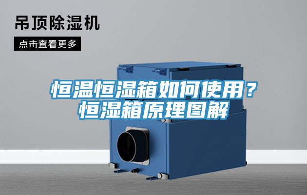 恒溫恒濕箱如何使用？恒濕箱原理圖解