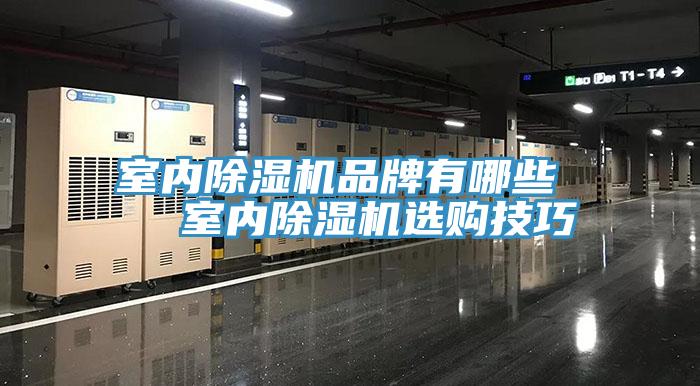 室內草莓视频污污污污品牌有哪些   室內草莓视频污污污污選購技巧