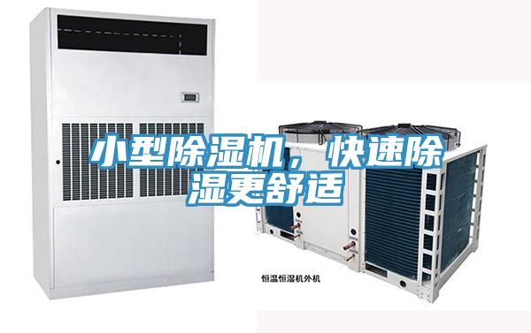 小型草莓视频污污污污，快速除濕更舒適