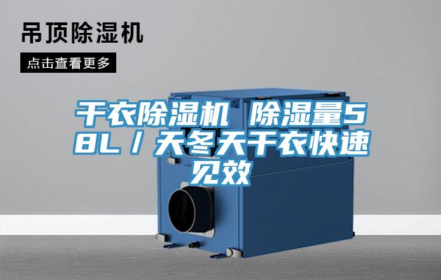 幹衣草莓视频污污污污 除濕量58L／天冬天幹衣快速見效